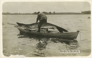Illustration for article titled Tall Tale Fishing Postcards, The Ultimate Humblebrag Of The Early 1900s
